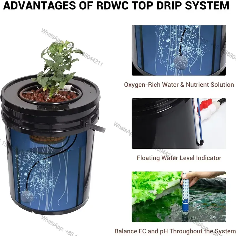 Hydroponic Kit - Heißer Verkauf RDWC Feed Drip, Rezirkulierendes