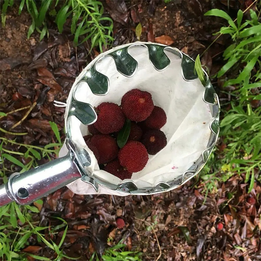 Grow Bag - 3-in-1 Obstpflück-Set für Beeren mit Teleskopstange