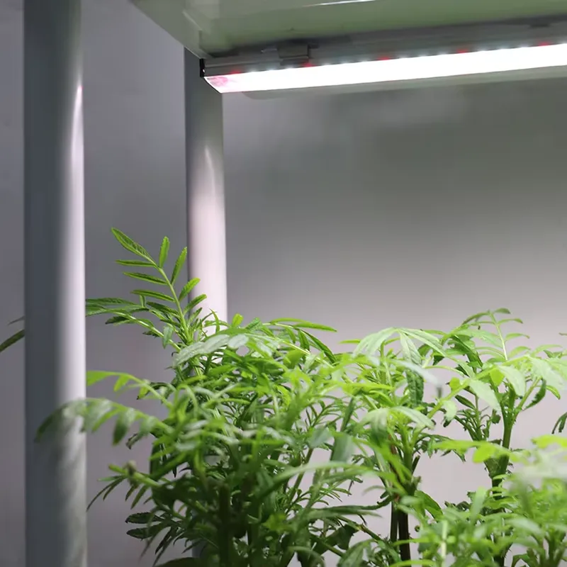 Beweglicher Vertikaler 3-Ebene – Indoor Herb Garden Bewertung und Preis