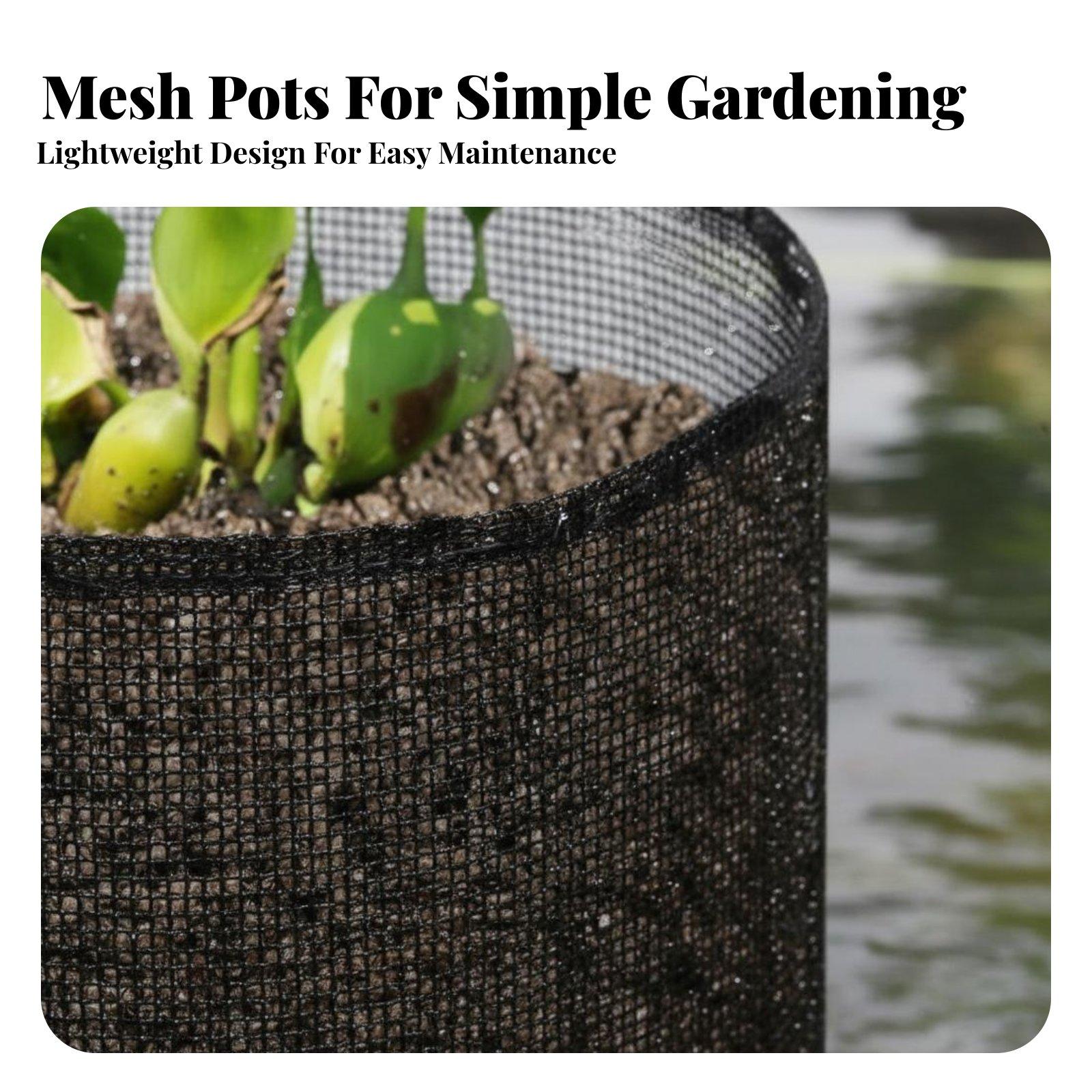 4-teilige Wasserlilien-Pflanzg – Plant Pot Bewertung und Preis