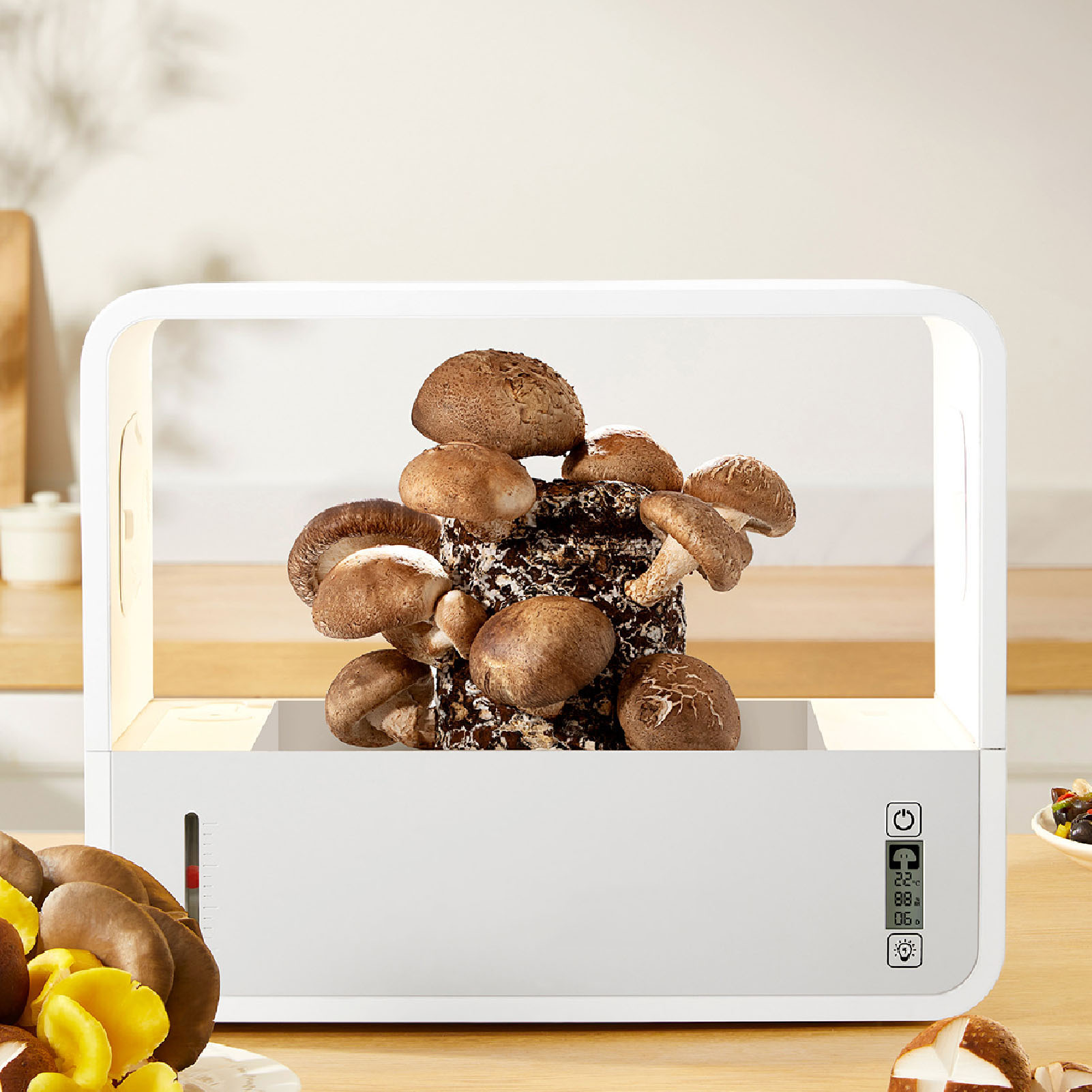 Pilzzucht-Zelt-Set Intelligent – Grow Light Led Bewertung und Preis