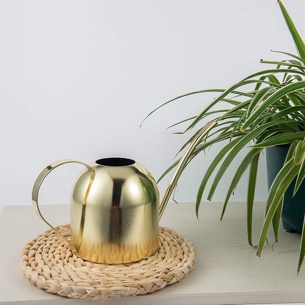 Messing-Gießkanne für Zimmerpf – Watering Can Bewertung und Preis