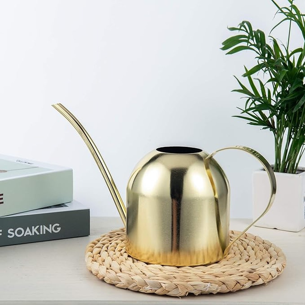 Messing-Gießkanne für Zimmerpf – Watering Can Bewertung und Preis