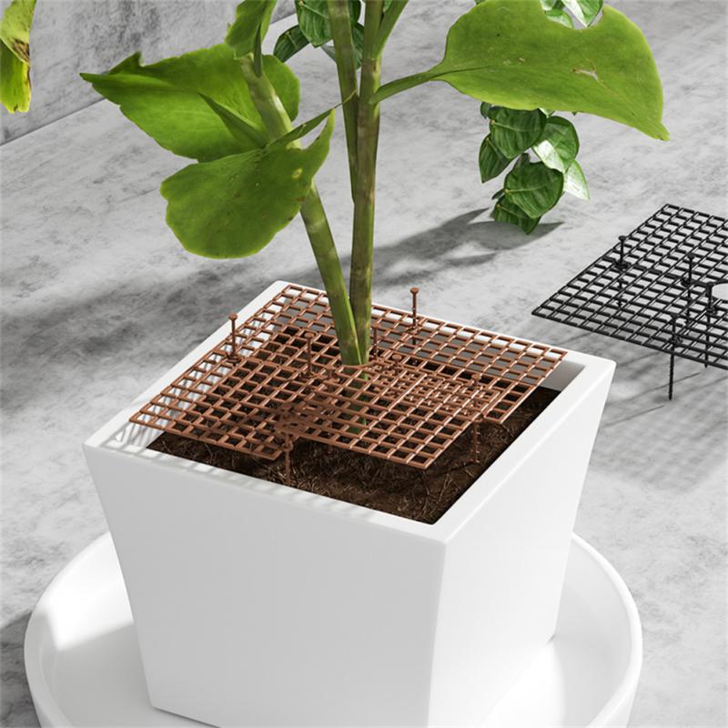 Blumentopf-Abdeckung Pflanzeng – Indoor Herb Garden Bewertung und Preis