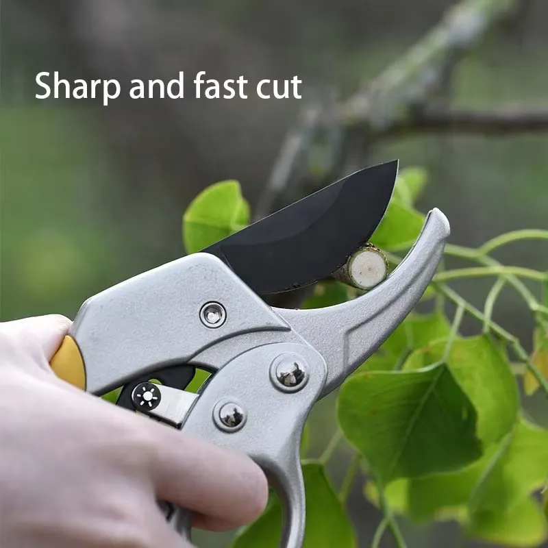 EE1 für heiß begehrte Gartensc – Pruning Shears Bewertung und Preis