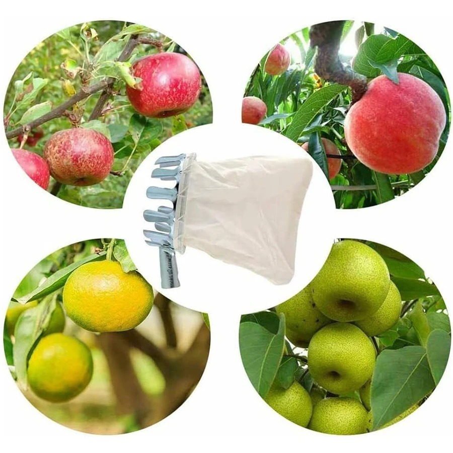 3-in-1 Obstpflück-Set für Beer – Grow Bag Bewertung und Preis