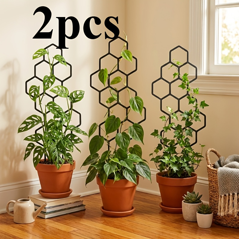 2 Stück Wabenförmige Pflanzen- – Indoor Herb Garden Bewertung und Preis