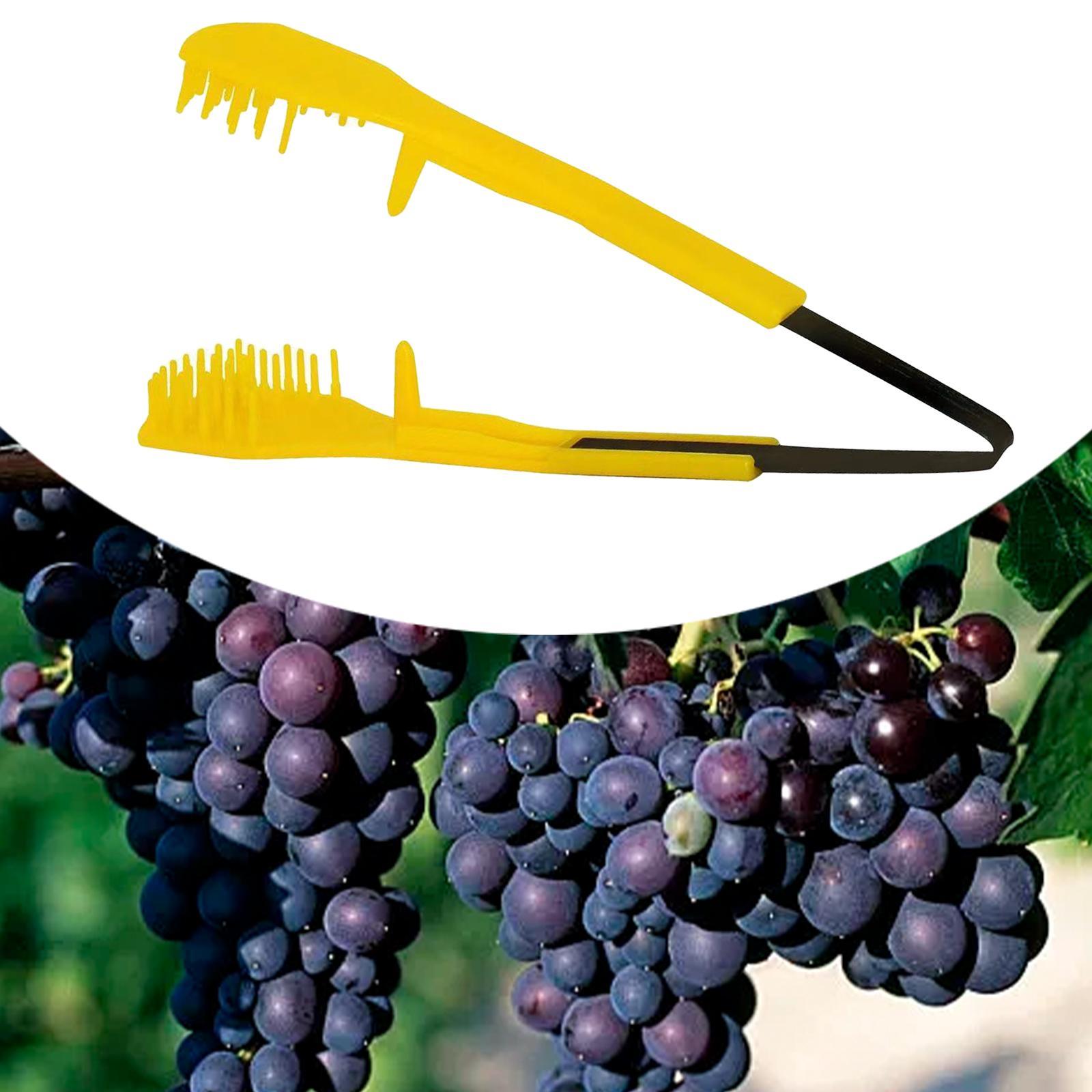 Standard-Astschere, kompakte T – Pruning Shears Bewertung und Preis