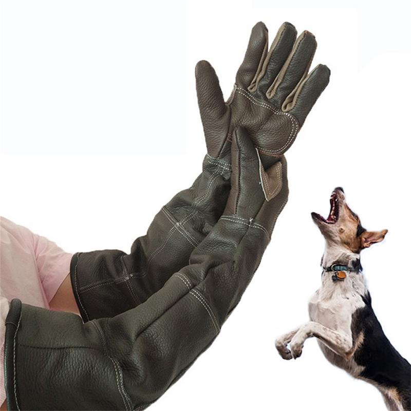 Haustierhandschuhe, Rindsleder – Garden Gloves Bewertung und Preis