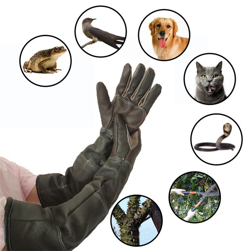 Haustierhandschuhe, Rindsleder – Garden Gloves Bewertung und Preis