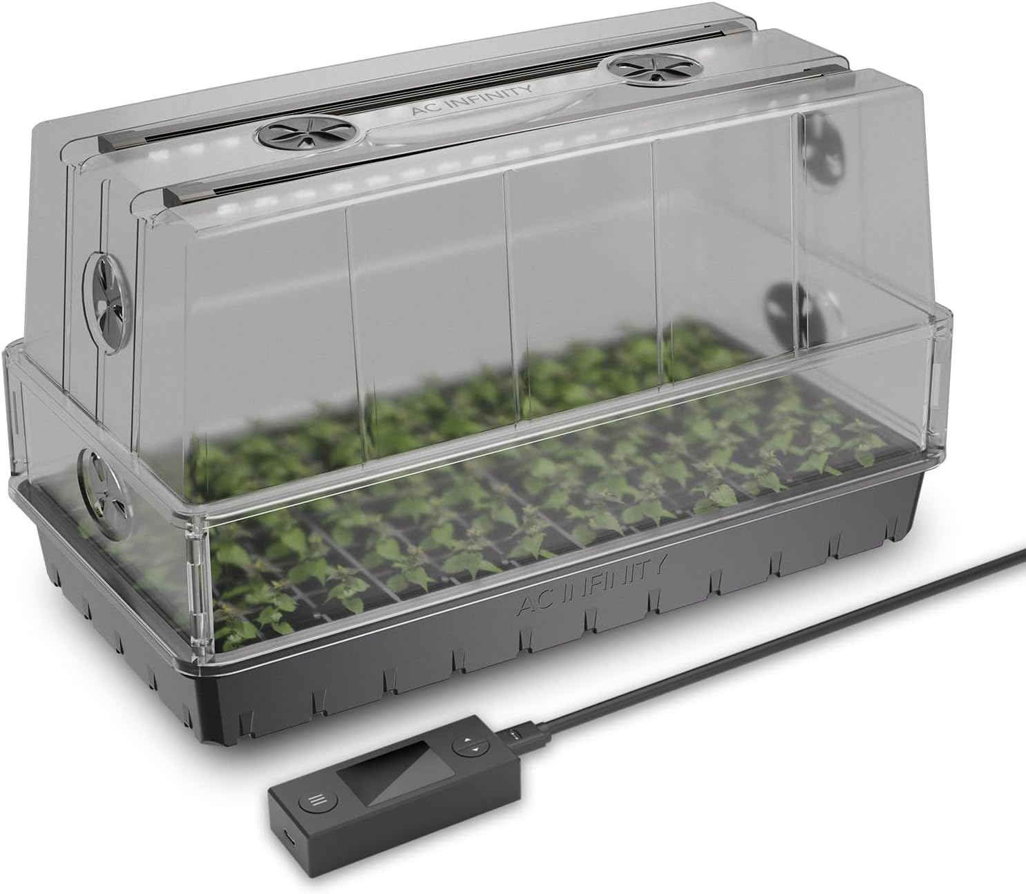 Automatisches Sprühgerät & 6x1 – Seed Starter Tray Bewertung und Preis