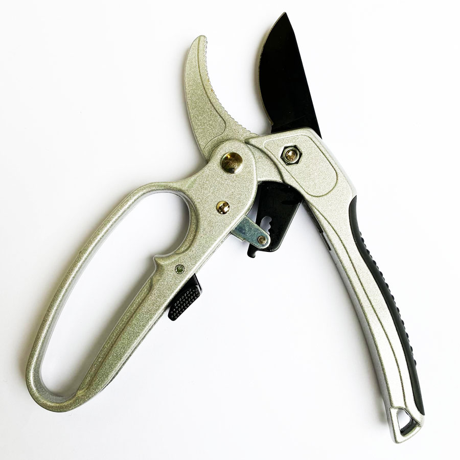 Professionelle Ratschen-Garten – Pruning Shears Bewertung und Preis