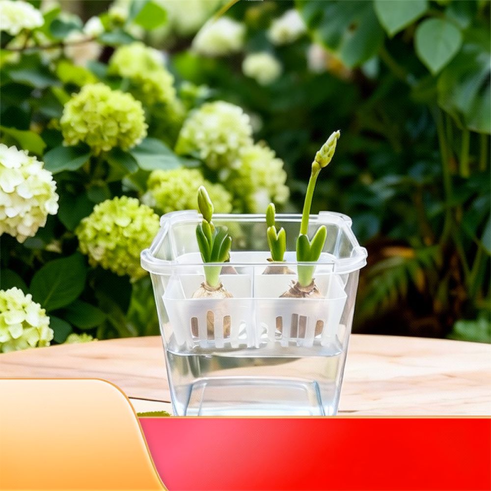 Hydroponische Vase für Tulpen- – Plant Pot Bewertung und Preis