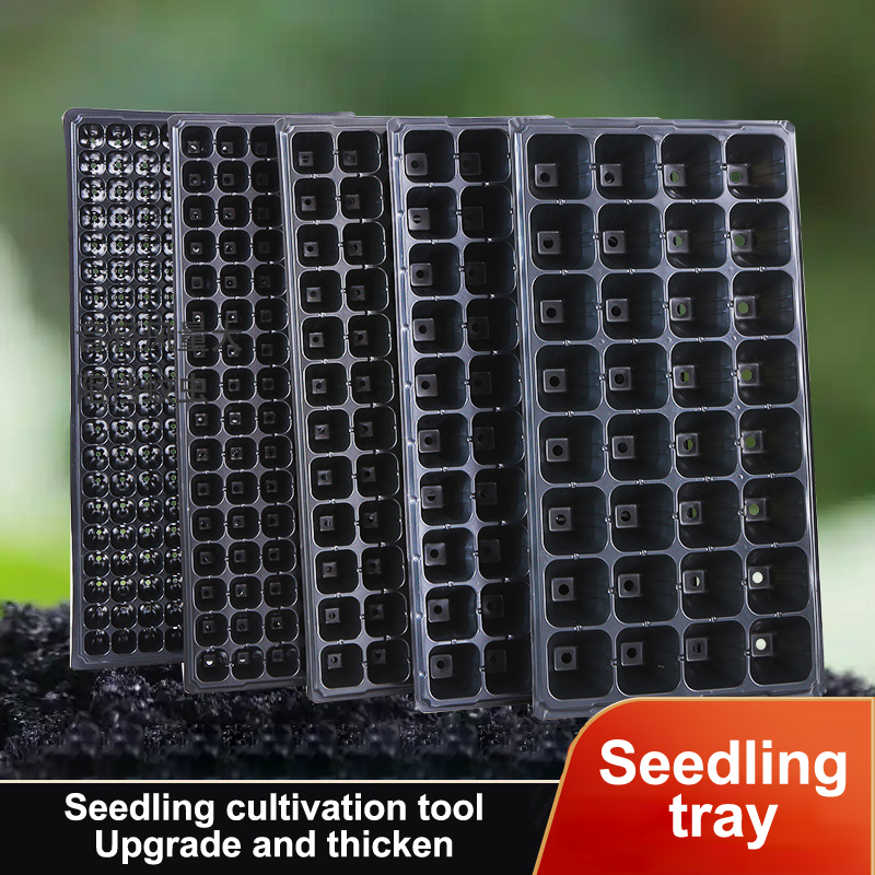 10 Stück Anzuchtschalen aus Ku – Seed Starter Tray Bewertung und Preis