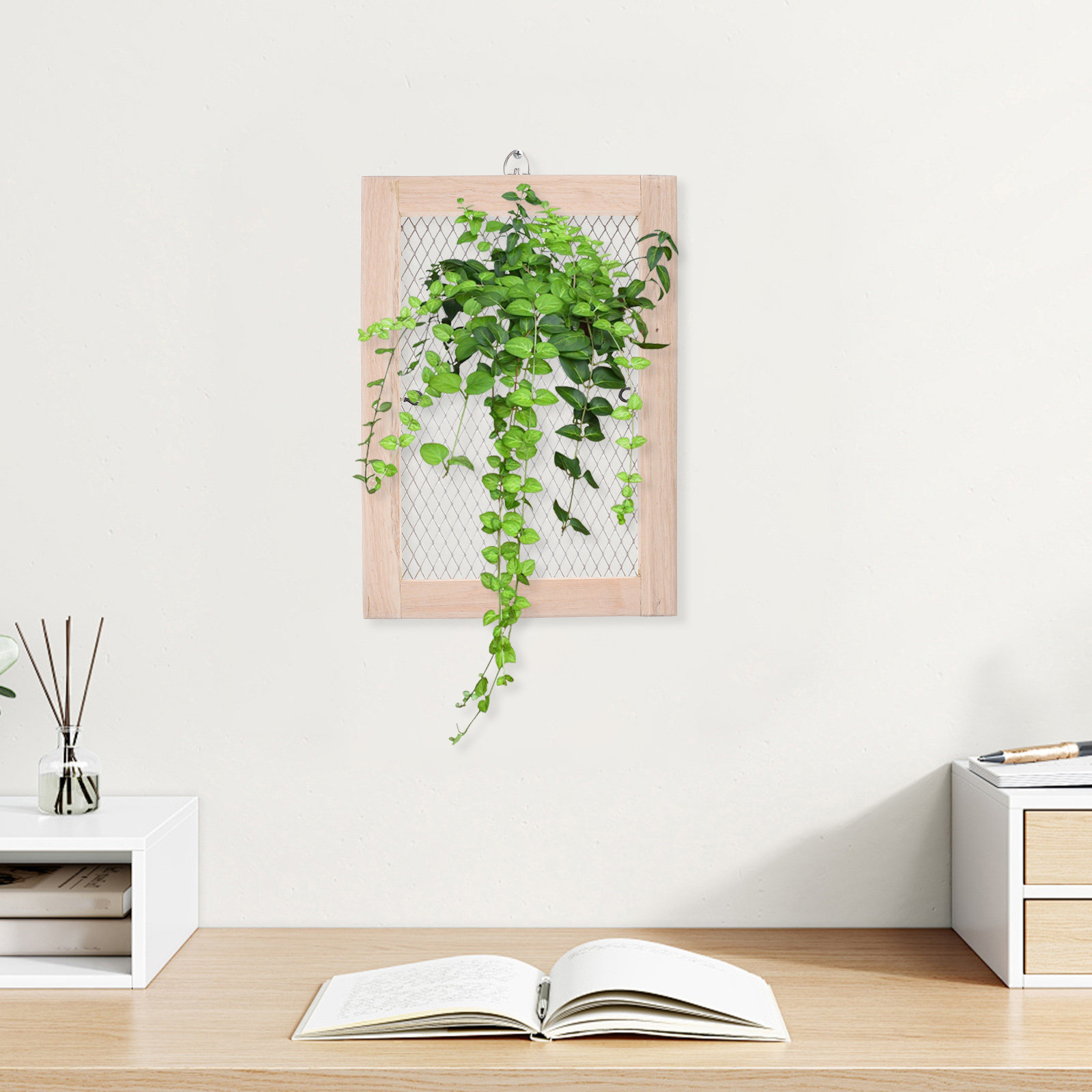 Montageplatte für Staghorn-Far – Vertical Planter Bewertung und Preis