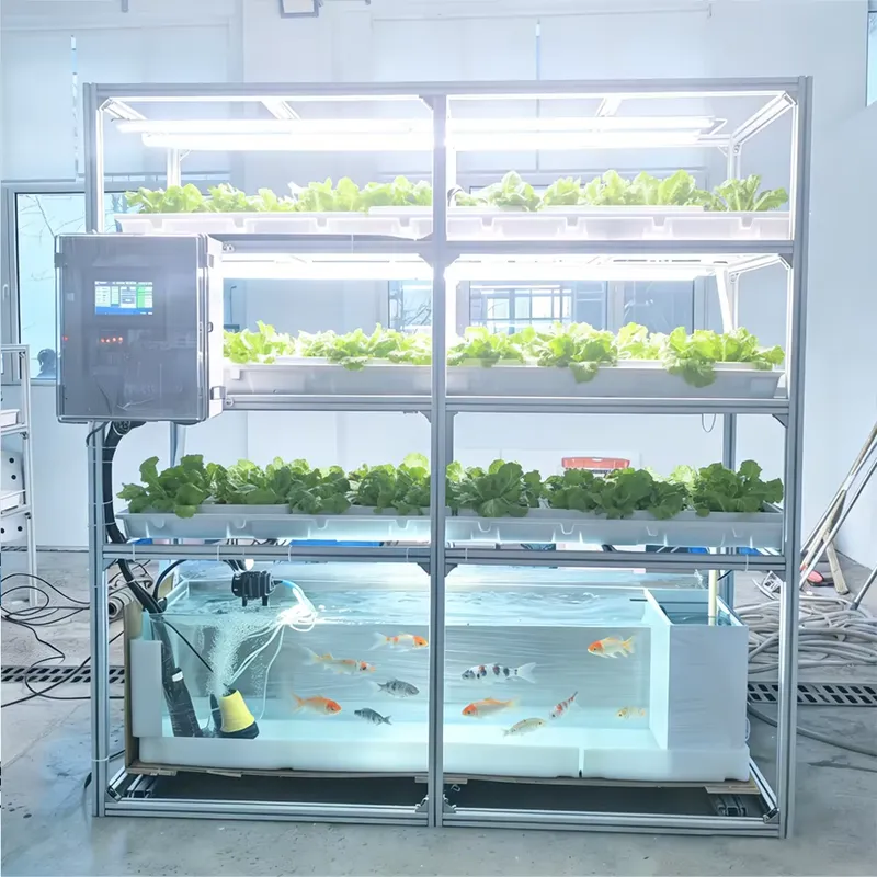 Intelligentes Automatisches Hy – Hydroponic Kit Bewertung und Preis