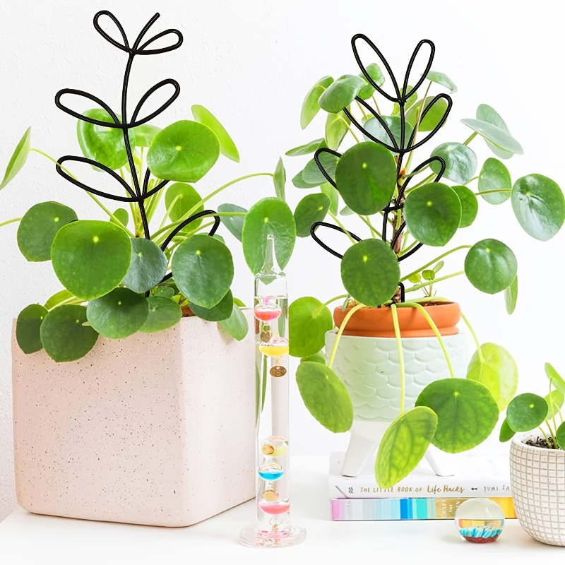 3-teiliger Pflanzenstützrahmen – Indoor Herb Garden Bewertung und Preis