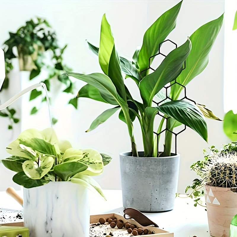 3-teiliger Pflanzenstützrahmen – Indoor Herb Garden Bewertung und Preis