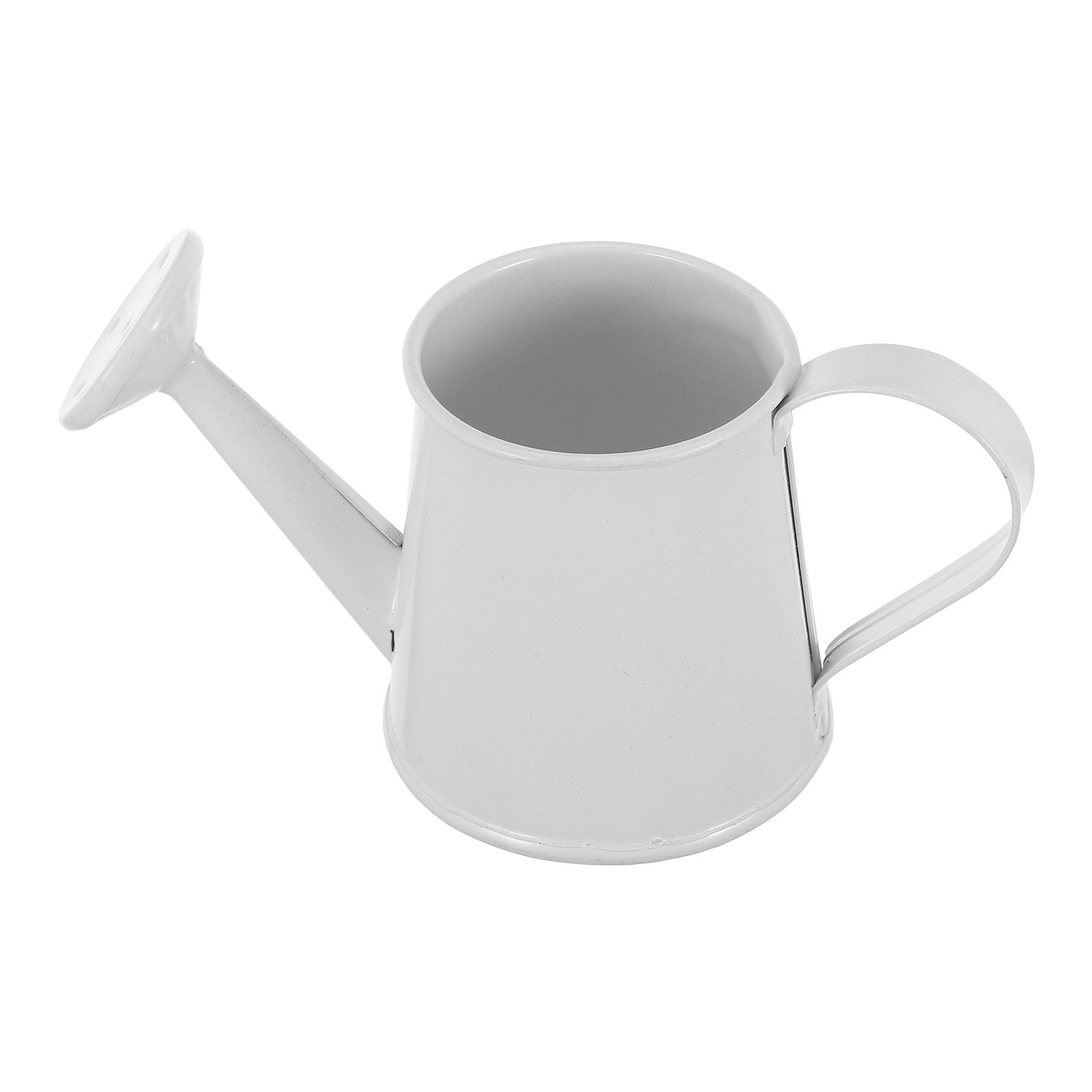 Mini-Gießkanne aus Eisen für S – Watering Can Bewertung und Preis